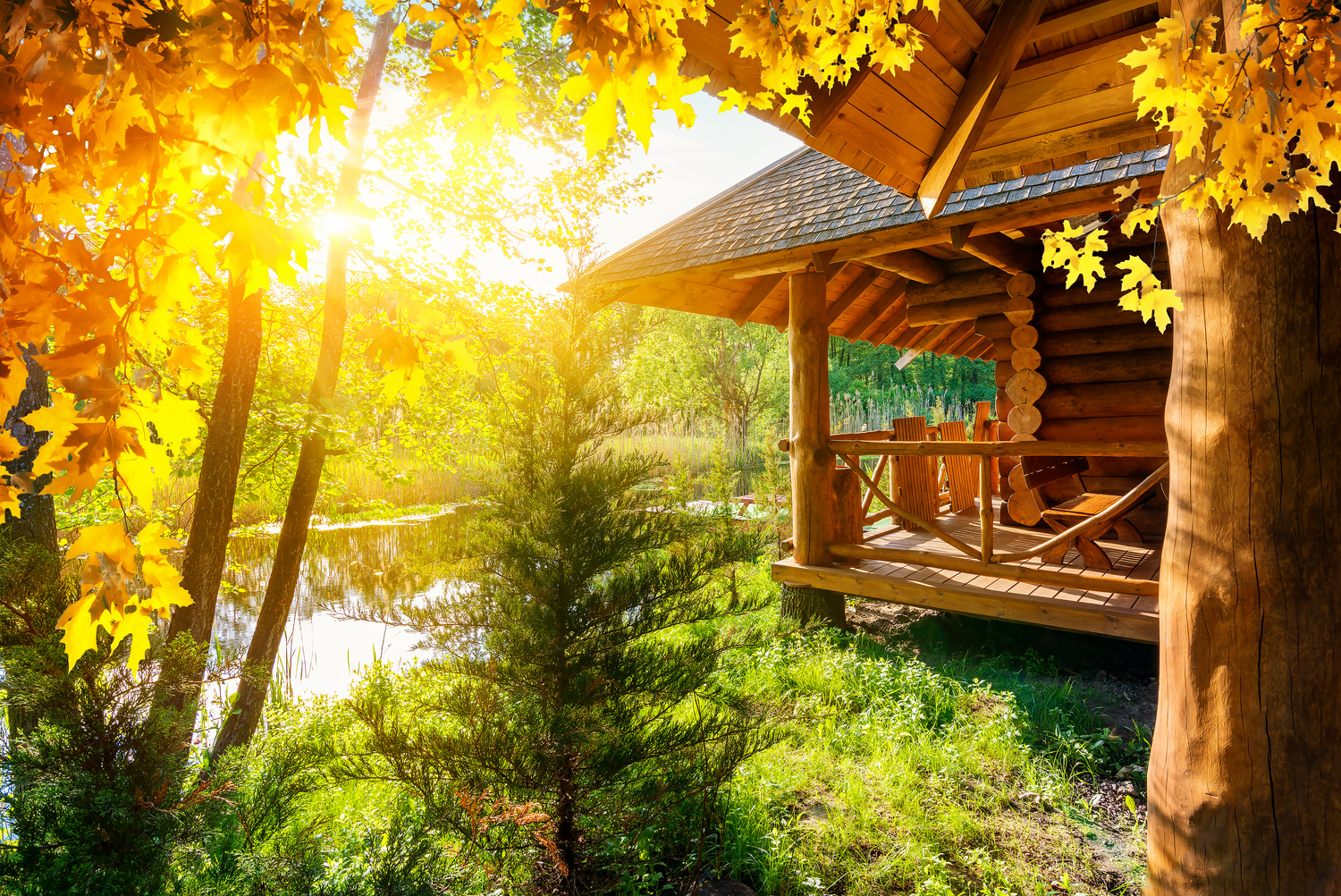 House at Autumn Forest